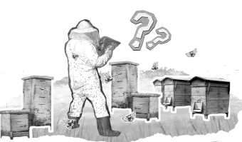 Illustration showing beekeepers making decisions on site
