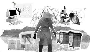 Illustration showing fragmented ecological and beekeeping information