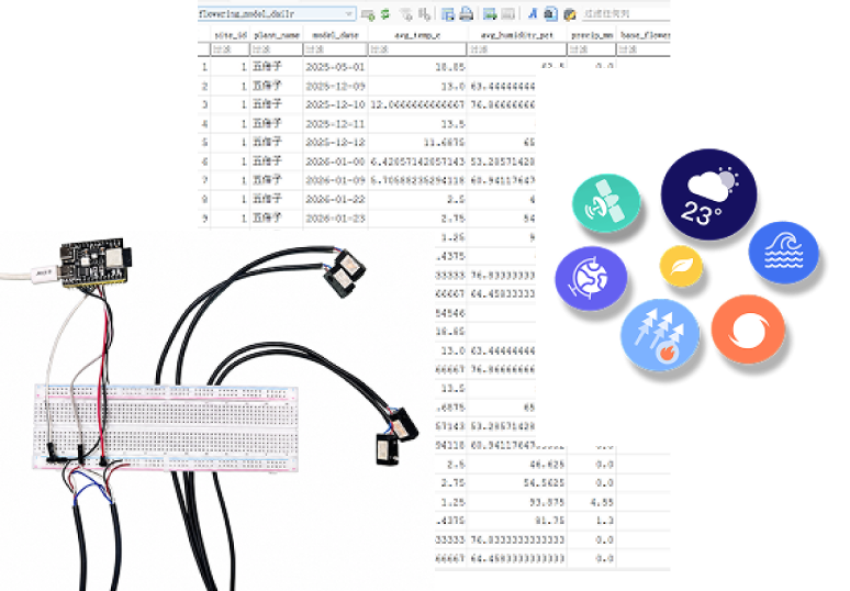 Data Sources research collage