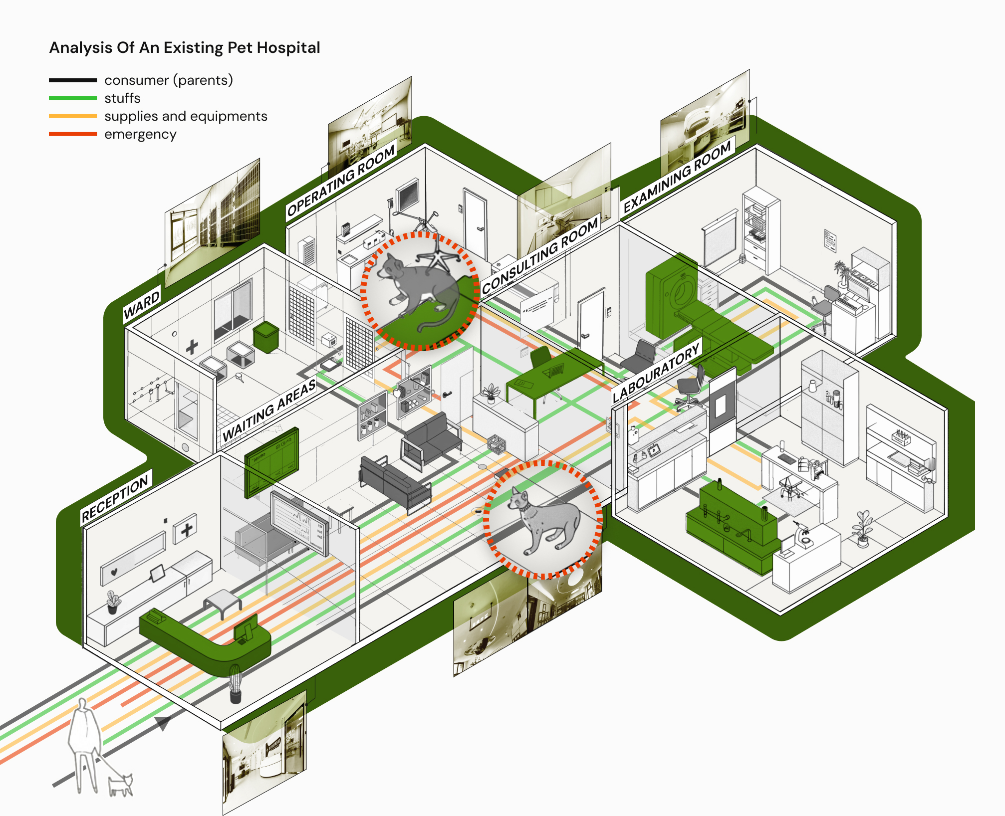 Analysis of an existing pet hospital showing circulation conflicts and spatial pain points